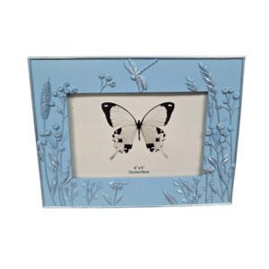 Dragonfly Sky Blue 6x4 Frame