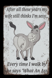 Novelty Signs: Art Tin - What an Ass
