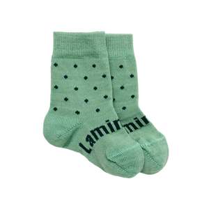 Lamington Merino Wool Crew Socks | Apple