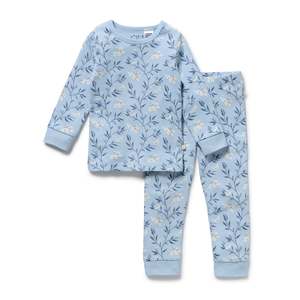 Organic Long Sleeved Pyjamas | Bunny Whistle