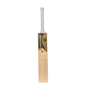 Junior Havoc Cricket Bat