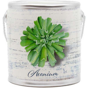 Candles: CHEERFUL - 20OZ FARM FRESH CANDLE - DAY SPA