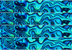 Paua Shell Fondant Edible Cake Border Ribbon Wrap - 4 x 5cm strips - The Monkey Tree