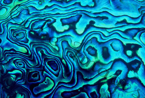 Paua Shell Fondant Edible Cake Wrap/All over print - The Monkey Tree