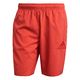 Solid Swim Shorts – Red