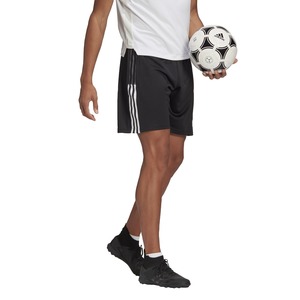 Products: Tiro Training Shorts