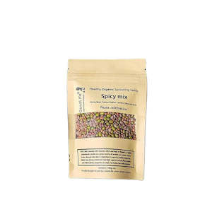 Preserving: Seeds Spicy Mix Bag 100g