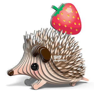 Hedgehog Card Kitset
