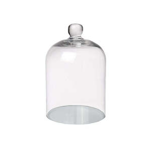 Brands: Small Glass Dome