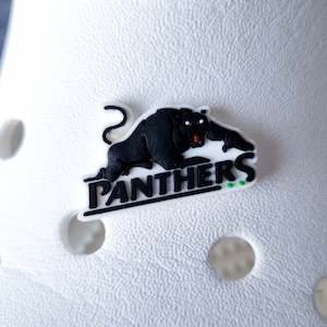 Rugby Leage: Panthers