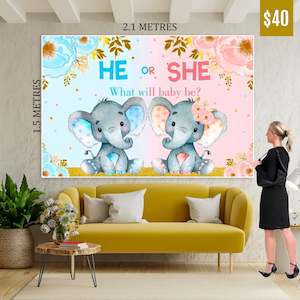 Birthday Banner: Gender Reveal Banner