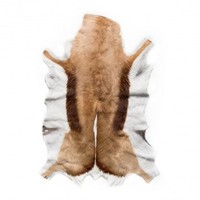 Products: Bucky Natural Springbok Hide