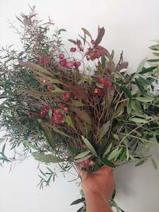 Direct Fresh Foliage: Mixed foliage box- Spray Free - Autumn colours