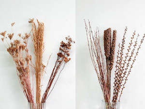 Mixed dried flower box - Naturals - 11 bunches