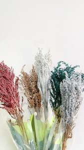 Fresh Flowers Foliage 1: Dried & dyed Solidago - Christmas colours - 18 bunches