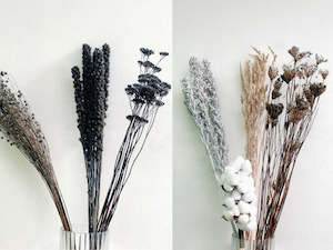 Mixed dried flower box - Black & White - 9 bunches