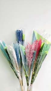 Fresh Flowers Foliage 1: Dried & dyed Solidago - Assorted colours - 19 bunches