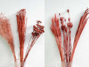 Mixed dried flower box - Red hues - 9 bunches
