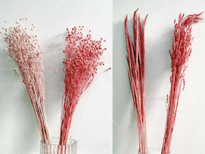 Mixed dried flower box - Mid pink hues - 8 bunches