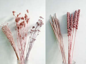 Fresh Flowers Foliage 1: Mixed dried flower box - Light pink hues - 7 bunches