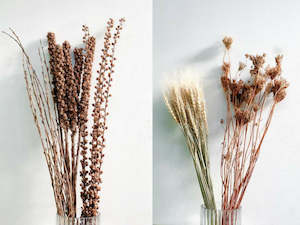 Mixed dried flower box - Naturals - 10 bunches