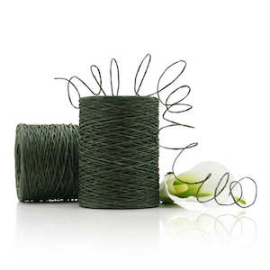 Oceans Accessories Wire: Oasis Bindwire 0.4mmx205m - Green