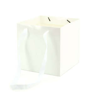 Oceans Boxes Bags: Flower Carrier Bag w/Handles Small 22Sqx22Hcm Pk/10 - White