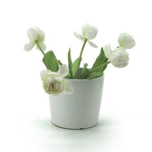 Ceramic Squat Round Vase 17TDx14BDx15Hcm - Ivory (03-DOL54)