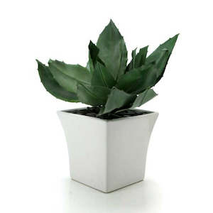 Ceramic Flared Square Vase 17TWx13BWx17Hcm - Ivory (03-DOL47)