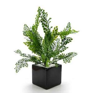 Oceans Ceramics: Ceramic Square Vase 13Sqx12.5Hcm - Black (03-SQ5)