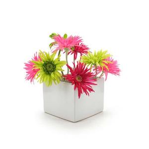 Ceramic Square Vase 18.5Sqx14.5Hcm - Ivory (03-SQ6)