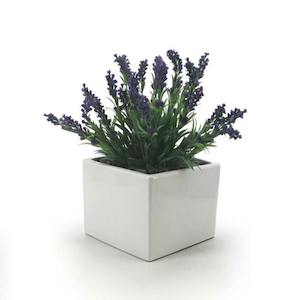 Oceans Ceramics: Ceramic Square Vase 20Sqx14.5Hcm - Ivory (03-SQ7.5)