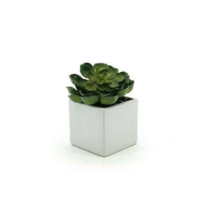 Ceramic Square Vase 13Sqx12.5Hcm - Ivory (03-SQ5)