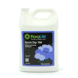 Oceans Flower Care: Floralife Quick Dip Liquid 3.78ltr (1gal) - Clear