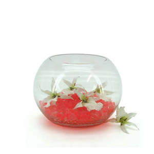 Oceans Glassware: Glass Fish Bowl 15TDx25Wx18Hcm - Clear (02-FISH25)