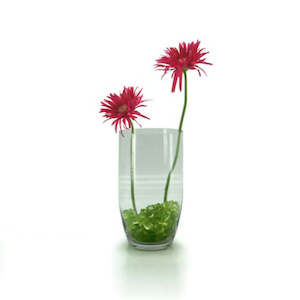 Oceans Glassware: Glass Bullet Vase 15TDx10BDx28Hcm - Clear (02-BUL28)