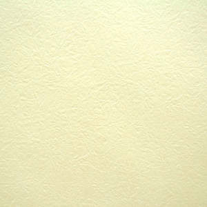 Paper Embossed Sheet 50x70cm Pk/50 - Cream (31A619)