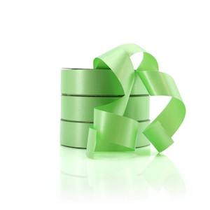 Watermark Poly Ribbon 32mmx100m - Lime