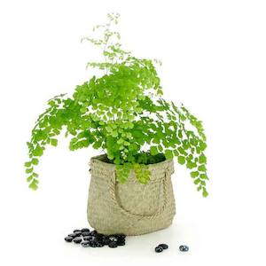 Nat Woven Kit Bag Medium 23Wx20Hcm Pk/10 - Natural