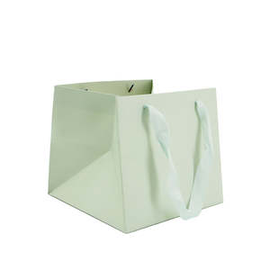 Flower Carrier Bag w/Handles 20Sqx18Hcm Pk/10 - Soft Green