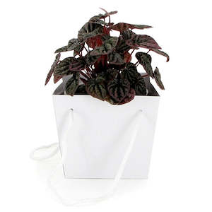 Tapered Flower Carrier Bag w/Handles Medium 16Sqx14Hcm Pk/10 - White