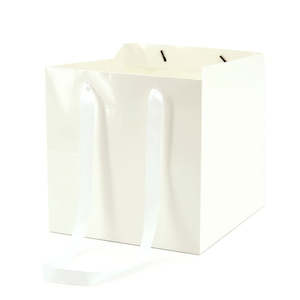 Flower Carrier Bag w/Handles Medium 25Sqx25Hcm Pk/10 - White