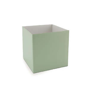 Solid Colour Posy Box 16Sqx16Hcm Pk/10 - Soft Green