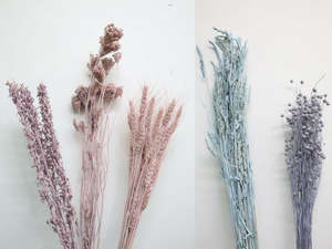 Fresh Flowers Foliage 1: Mixed dried flower box - Pastels hues - 11 bunches