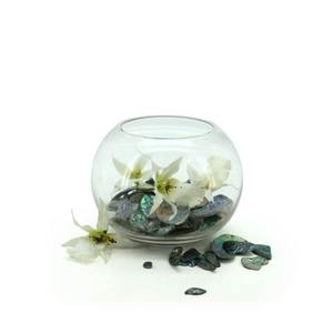 Glass Fish Bowl 11.5TDx20Wx14Hcm - Clear (02-FISH20)
