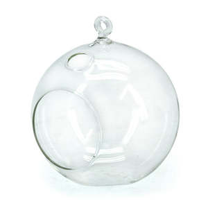 Glass Ball Hanging Vase 12Diax14Hcm - Clear (02-HANGME)