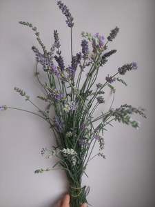 Direct: **Long stemmed lavender * Spray Free*** long stems**Fragrant*