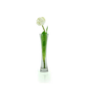 Glass Single Vase 4.5TDx5.5BDx24.5Hcm - Clear (02-SINGLE24CM)