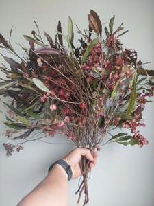 Ake ake -Purple native foliage plants