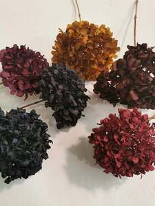 Direct Dried Preserved: Naturally dried & tinted Hydrangea * PICK YOUR OWN COLOURS *